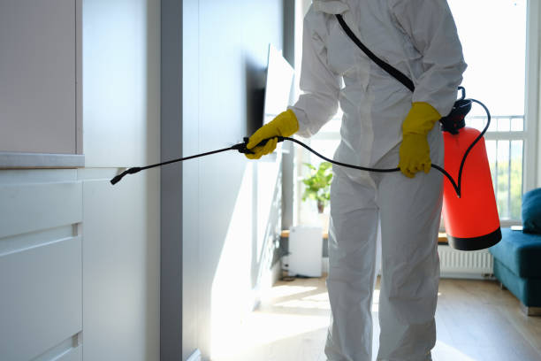 Best Commercial Mold Removal  in Spring Hill, KS