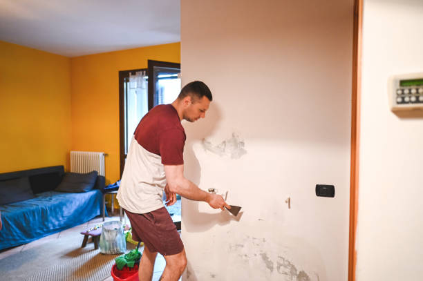 Best Same-Day Mold Removal  in Spring Hill, KS